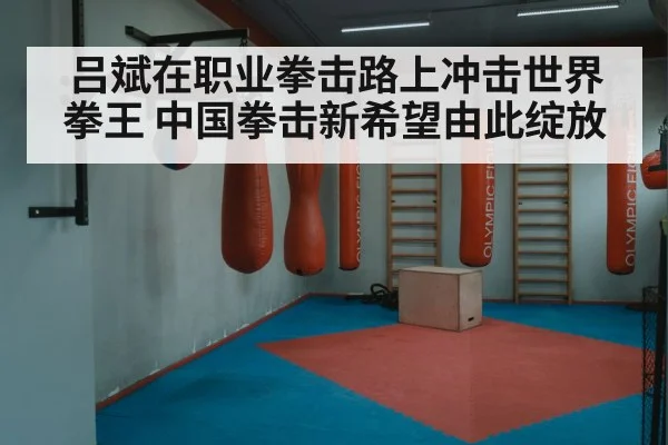 吕斌在职业拳击路上冲击世界拳王 中国拳击新希望由此绽放